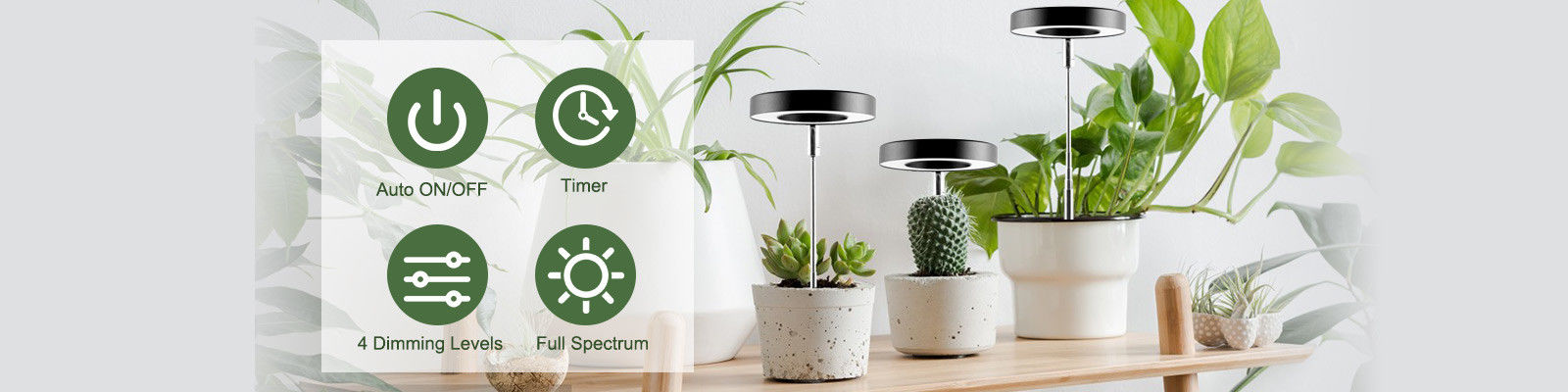 Lampes à LED atténuées